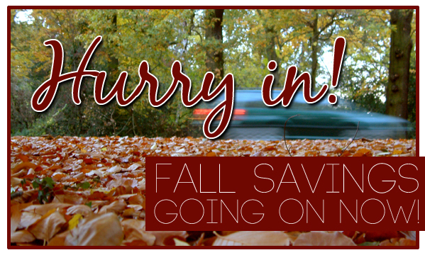 Take Advantage of These Great Fall Specials from Martens VW