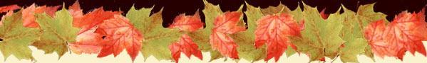 http://images.mmserver.com/img/rms/0000/0352/fall.JPG